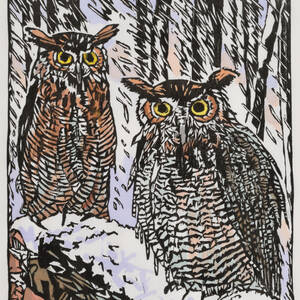 Great Horned Owls.jpg